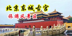 色女人操逼视频中国北京-东城古宫旅游风景区